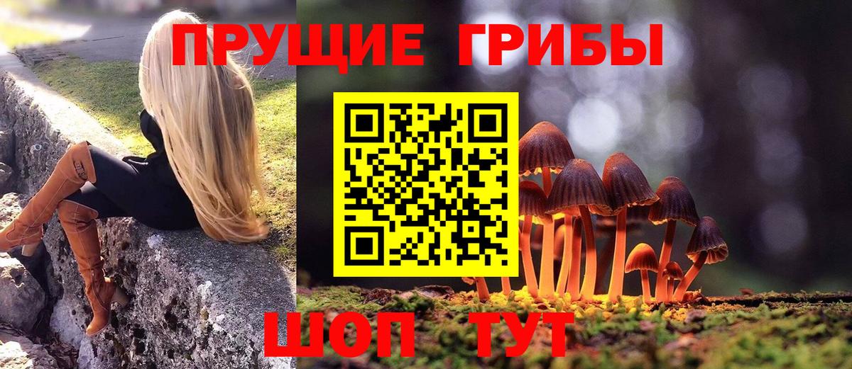 Коркино  Псилоцибиновые грибы мухоморы  Вход с VPN 
