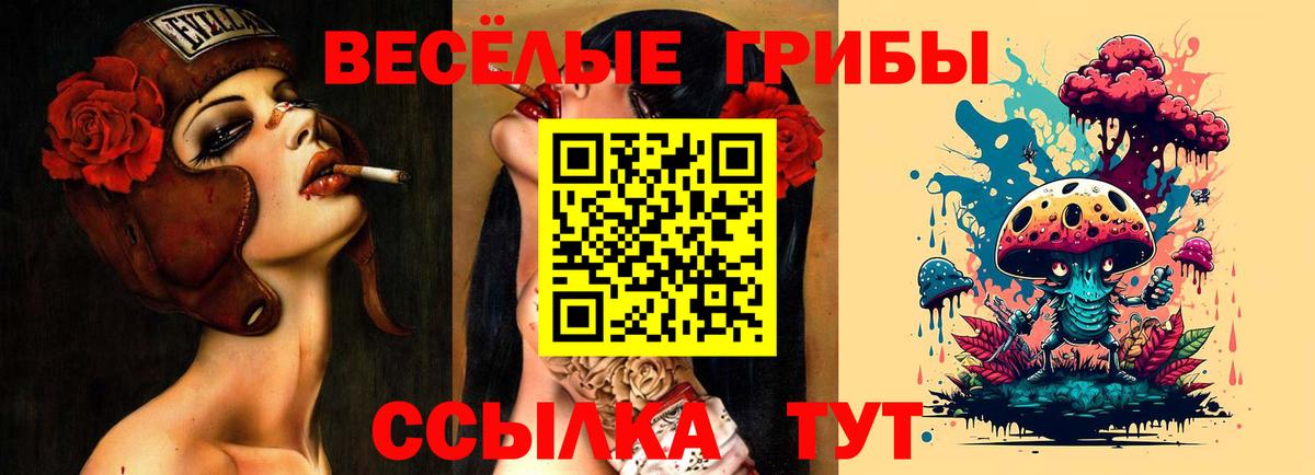 Галлюциногенные грибы Cubensis Коркино